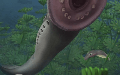 Baby lampreys had teeth (ok not really!) – Paper out in Nature!